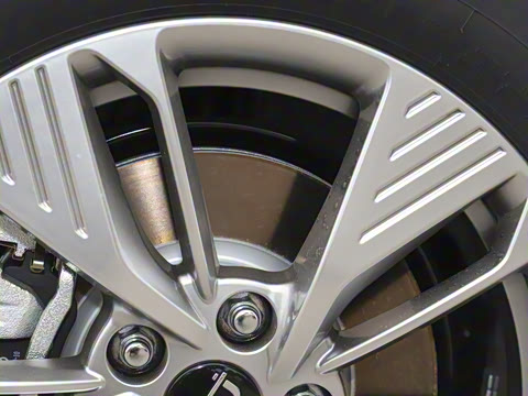 2025�� 565km ������