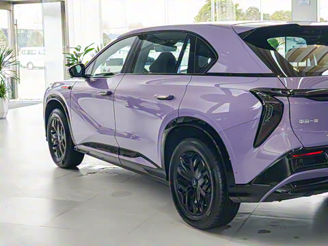 2025�� 730 Max������