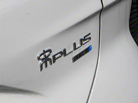 2025�� DM-i �Ǽݰ� 112KM ������