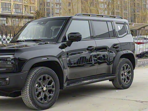 2025�� 2.0T �Զ�����20������