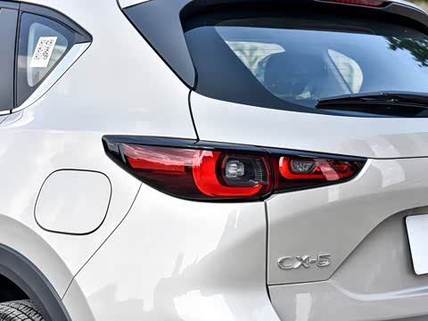 2025�� 2.0L �Զ���������Pro