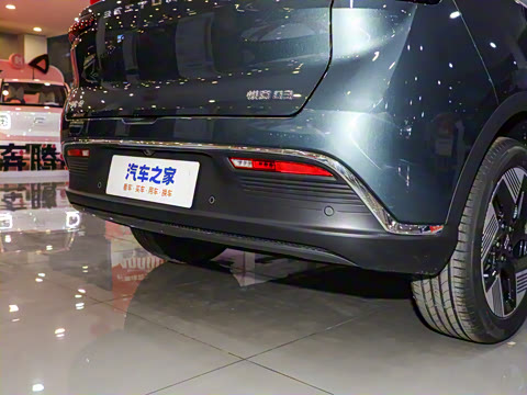 2025�� 565km ������