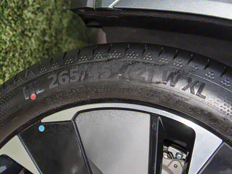 2025�� DM 175KM���˻���Ұ�