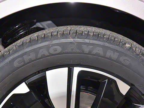 2025�� ��������� 515�����