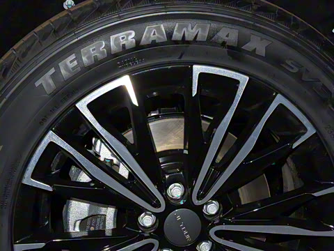 2025�� �ھ��� 1.5T �ֶ��ھ� 5��