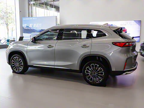 2025�� 300T ������Խ��