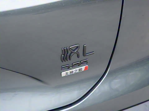 2025�� DM-p ���������״��콢��