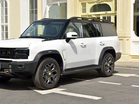 2025�� 2.0TD XWD �Զ�����+�ӳ��� 7��