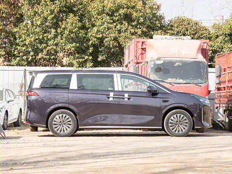 2025�� DM-i 1.5T 100km ��Խ��