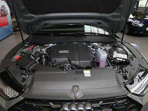 2025�� 45 TFSI ��ѡ��