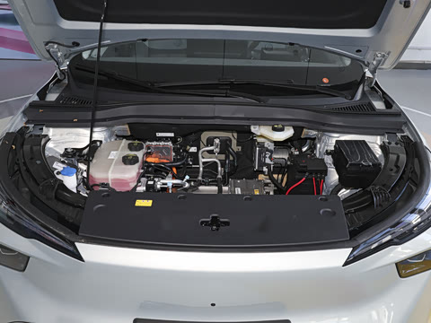 2025�� 565km ������