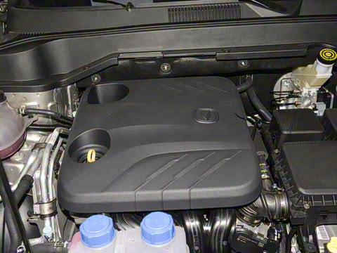 2025�� �ǻ������� 125km ������