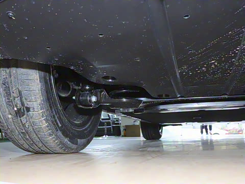 2025�� 565km ������