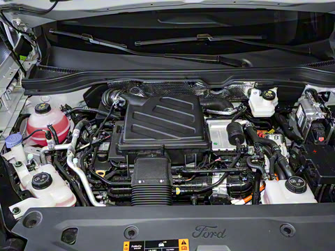 2025�� ������