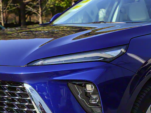 2025�� ������Plus ����Avenir��ά��