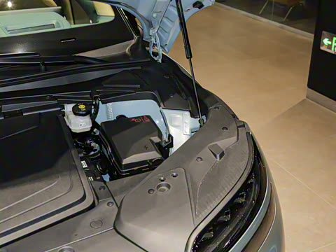 2024�� ˫�������������