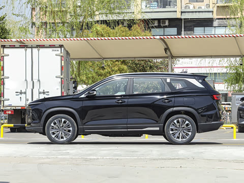 2025�� ��Ӣ�� 7��