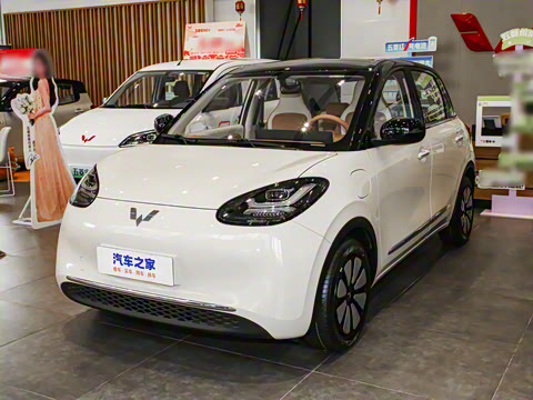 2025�� 333km ��Ϭ������