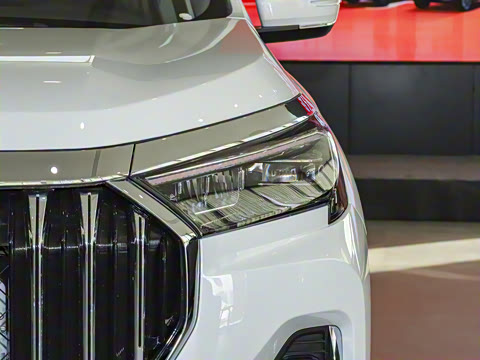 2025�� ��Խ�� 1.6TD DCT����PRO 5��