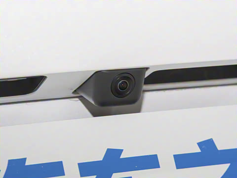 2025�� EV ����������