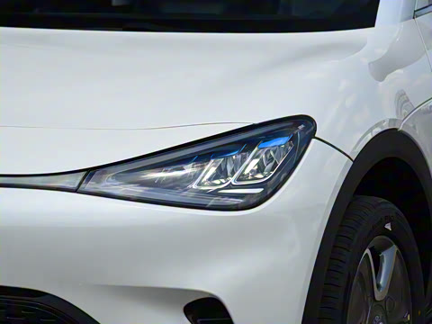 2024�� �鶯��������