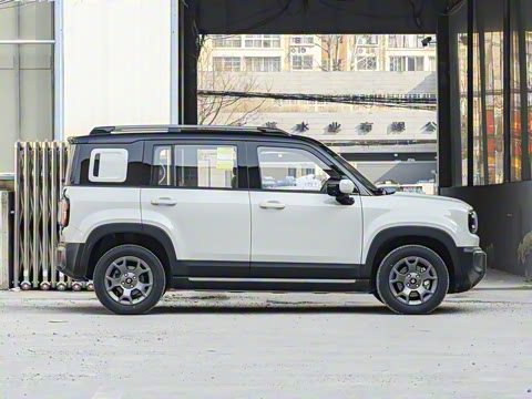 2025�� �콢�� 5��