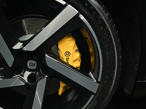 2025�� ������������������Max��