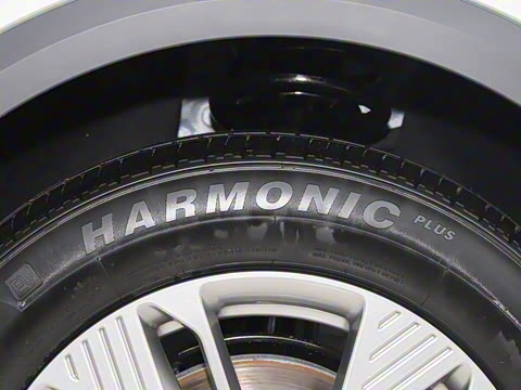 2025�� 445km ��ѡ��