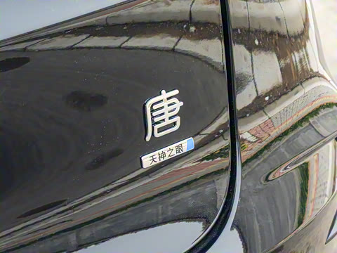 2025�� �Ǽݰ� DM-i 115KM ������