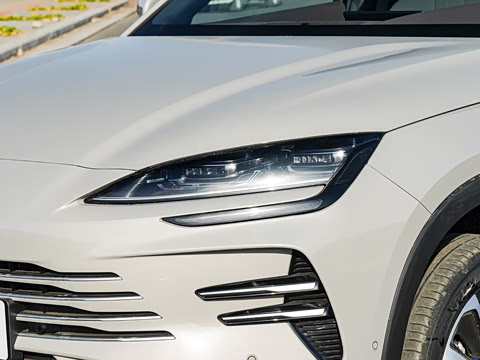 2025�� DM-i �Ǽݰ� 112KM �����