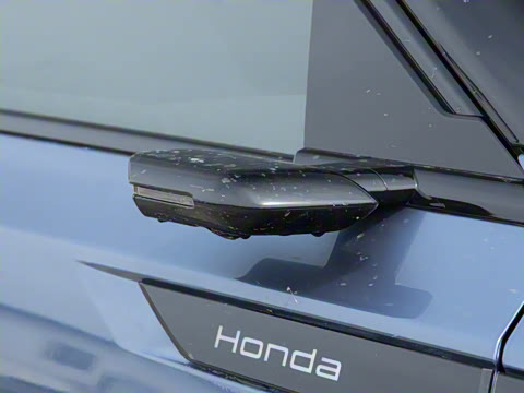 2025�� ����������Max