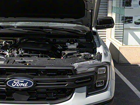 2025�� ɳ���ر�� ����