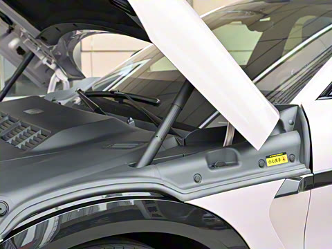 2025�� ������������������Max��