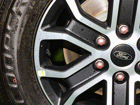 2025�� ̽�������Զ��� ����