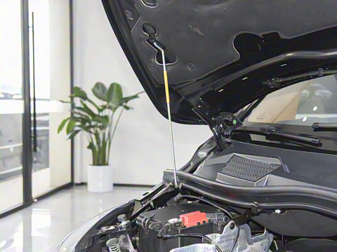 2025�� 2.0T ��; 7��