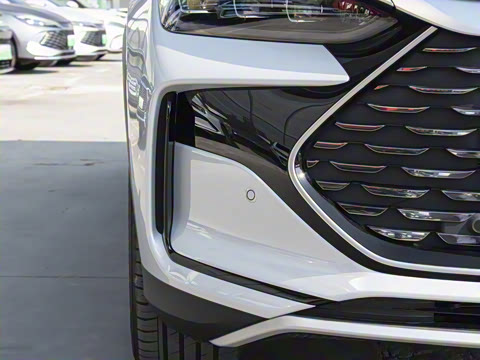 2025�� �Ǽݰ� DM-i 115KM �콢��