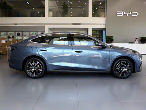 2024�� DM-i 120KM������