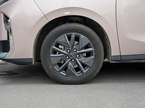 2025�� �캽��