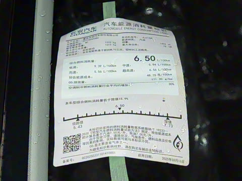 2025�� PLUS 1.5L �ֶ�������