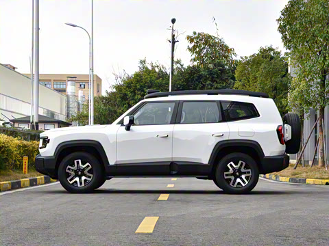 2024�� ����������