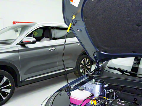 2025�� DM-i �Ǽݰ� 55KM�����