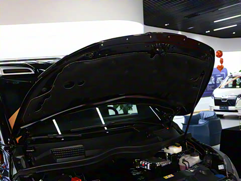 2025�� LS570TX ���