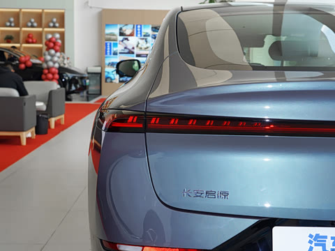 2025�� ��������� 515�����