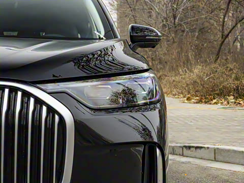 2025�� 1.5T 106KM������ 7�� �������