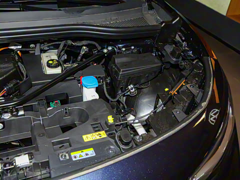 2025�� ������PURE+��