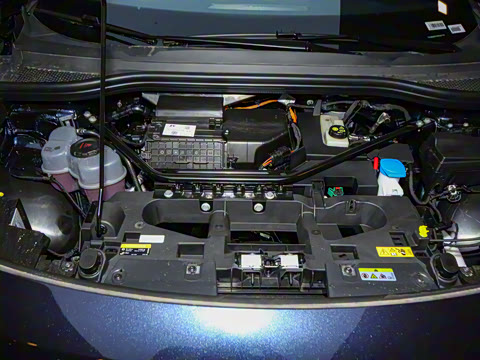 2025�� ������PURE+��