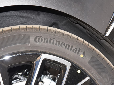 2025�� Pro�����