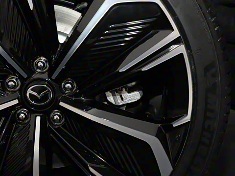 2025�� ����600 Max