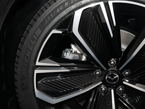 2025�� ����600 Max