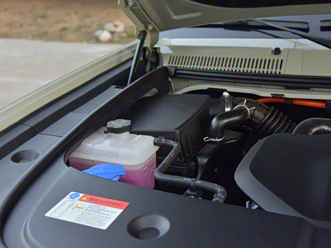 2025�� ��������Ǭ���Ǽݰ�